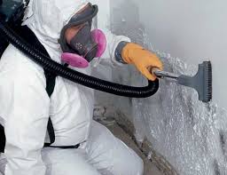 Best Mold Remediation for Vacation Homes  in Rock Island, WA